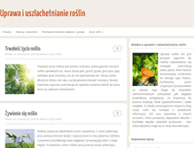 Tablet Screenshot of kenar.com.pl